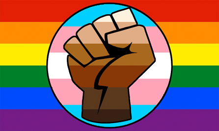 LGBT Gay Trans Pride BLM Fist Flag, Emercado2020, CC BY-SA 4.0, commons..