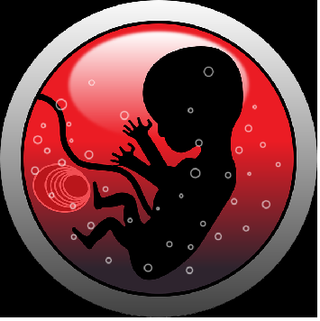 lidské embryo, Public Domain CCO, pixabay.com