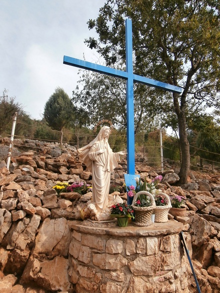Modrý kříž, foto: RT