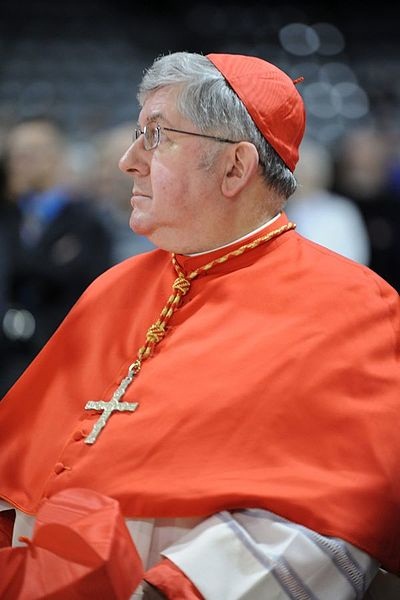 Kardinál Thomas Christopher Collins, Daniel Abel, CC BY-SA 2.0, commons.wikimedia