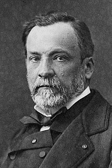 Louis Pasteur (1822-1895), volné dílo