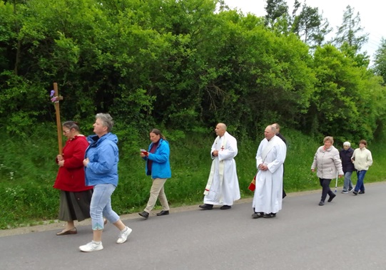 zdroj: vlastní