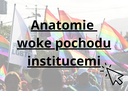 Anatomie woke pochodu institucemi, email Jana Jochová