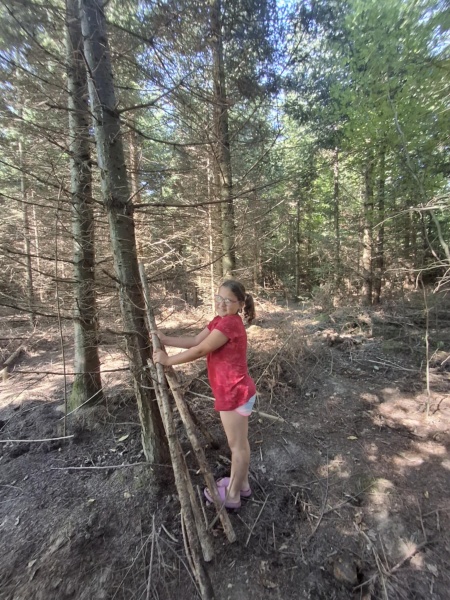 Lesní domečky a šipkovaná