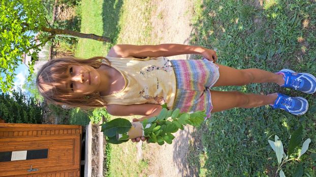 Hluboké Mašůvky 2025