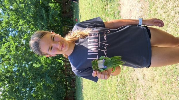 Hluboké Mašůvky 2025