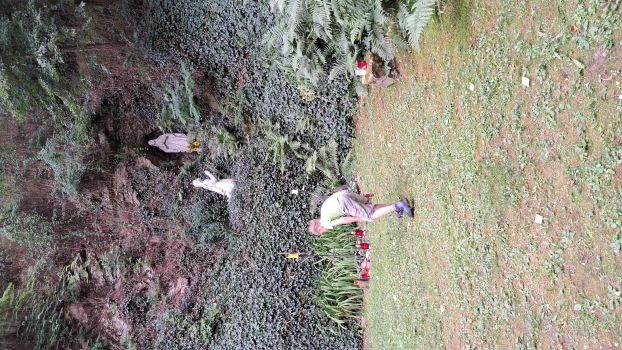 Hluboké Mašůvky 2025