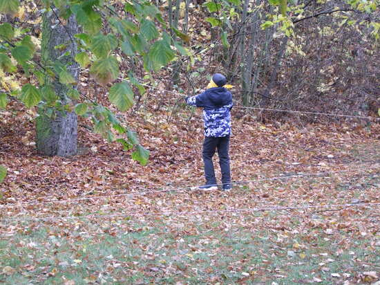 Den Šimona a Judy 2025