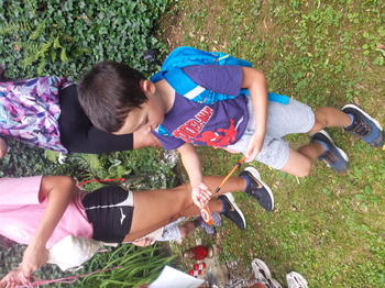 Hluboké Mašůvky 2025