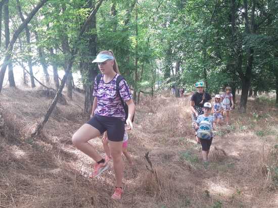 Hluboké Mašůvky 2025