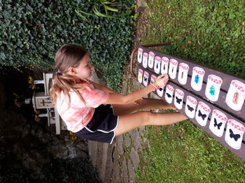 Hluboké Mašůvky 2025