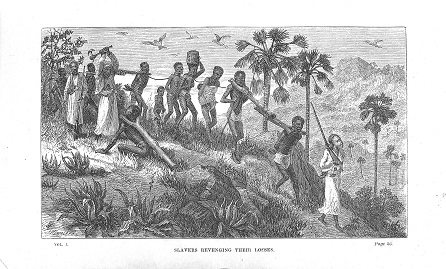 Arabsko-svahilští obchodníci ovládali arabský obchod s otroky ve východní Africe, volné dílo, wiki...