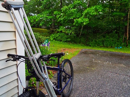 publicdomain pictures.net