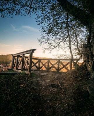 zdroj: vlastní