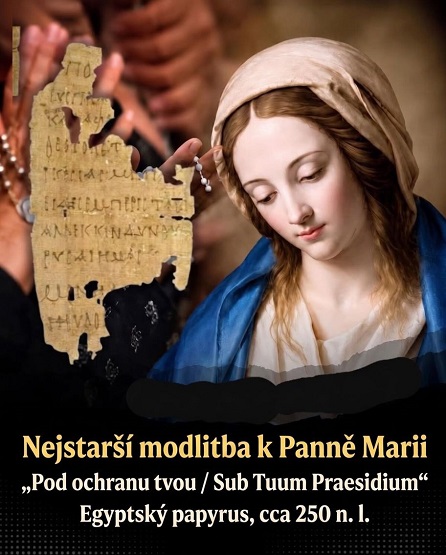 Salvator Mundi, salva nos
