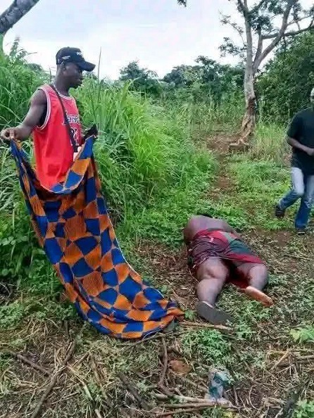 Salvator Mundi, salva nos, Nigérie