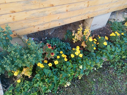 fara Vranov 7. 10. 2026