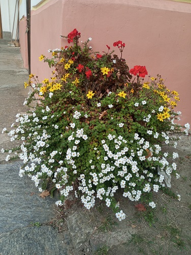 fara Vranov 7. 10. 2026