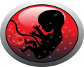 Embryo, OpenClips, CC0 1.0, pixabay.com/cs