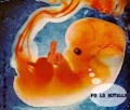 micockringnomedejapensar Follow El feto de 7 meses, CC BY-NC 2.0, www.flickr.com