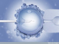 Image Editor, Intracytoplasmic Sperm Injection, CC BY-NC-ND 2.0, flickr