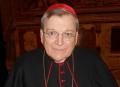 Raymond Leo Cardinal Burke, Pufui Pc Pifpef I, CC BY-SA 3.0, commons ... (výřez) Raymond Leo Cardinal Burke, Pufui Pc Pifpef I, CC BY-SA 3.0, commons ... (výřez)
