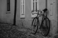 zdroj: www.pixabay.com, CCO volná licence
