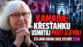 FC - Mediální strážce